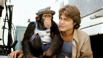 Hugo Moyano tiene debilidad por su hijo. Como BJ (Billy Joe) McKay tenía por The Bear, su fiel compañero de andanzas. La similitud entre la serie que fue furor mundial en los 70s y los Moyano es que con ambos llorábamos. Con unos de la risa, con los otros dejémoslo ahí.