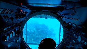 La actividad es una de