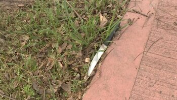 El cuchillo encontrado por un