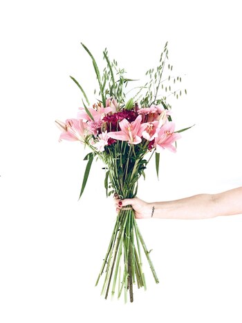 Ramo de Greenlosophy