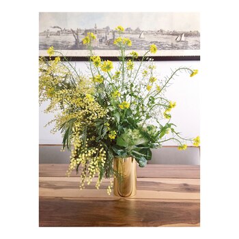 Bien silvestre, el diseño de