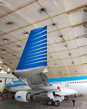 El Airbus A330-200 LV-FNK tiene