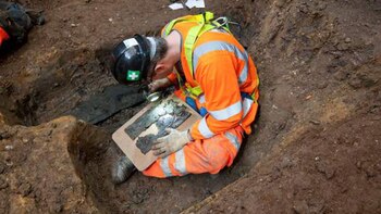 Las operaciones están a cargo