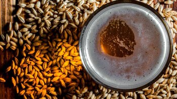 Los productores argentinos ya tienen