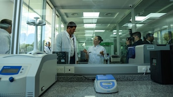 El laboratorio de identificación de