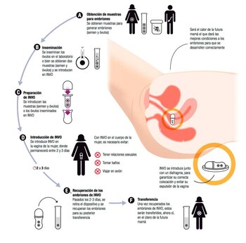 El desarrollo de embriones en