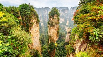 La película se inspiró en