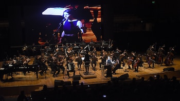 (Fotos: Nicolás Stulberg)