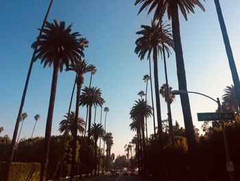 Sunset boulevard, en Beverly Hills