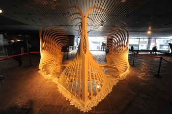 Noviembre electrónico (Foto: Sandra Cartasso)