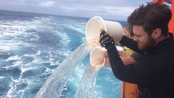 Investigadores de la División Antártica