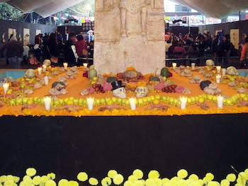 En Xochimilco, durante los recorridos