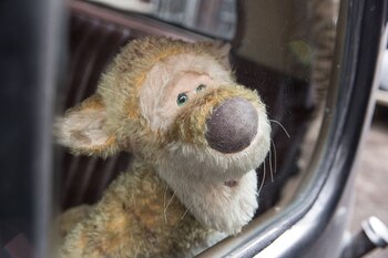 La fotografía principal de la