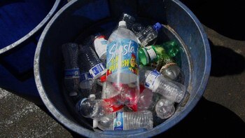 Organismos medioambientales advierten que para