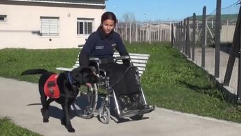 El programa se desarrolla en