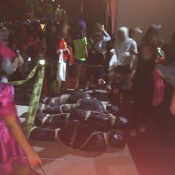 Los curiosos se detienen a