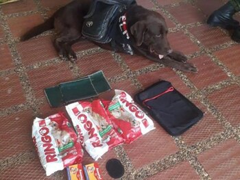 Junto al canino encontraron una