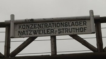 El campo fue evacuado en