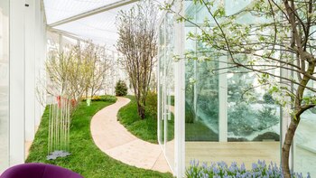 Según el concepto de biofilia,