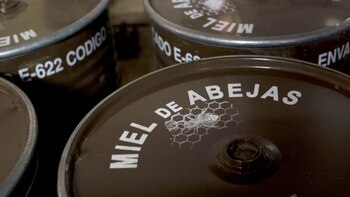 Los tambores son uno de