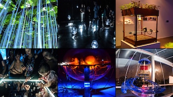 Diferentes obras que se encuentran