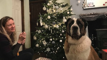 Emma Billington aseguró que Winston