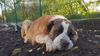 Winston sufrió un infarto por el