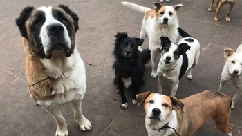 Winston junto al resto de