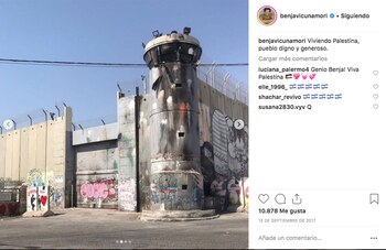 El posteo de Vicuña en