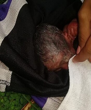 Una de ellas sobrevivió por