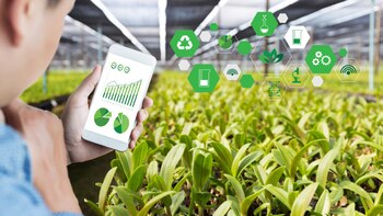 Buscan colaborar en la comunicación