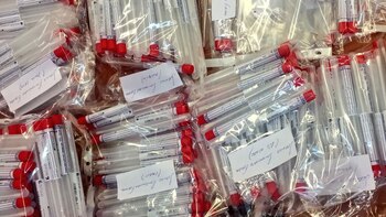 Los tubos utilizados para preservar