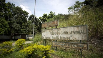 Meses antes de la desaparición