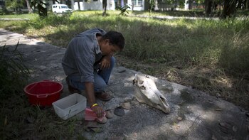 Toro descubrió la piel del