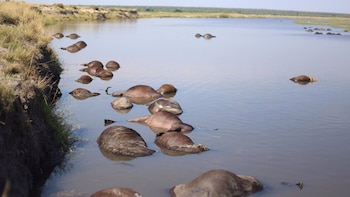 Aun se descnocen las causas