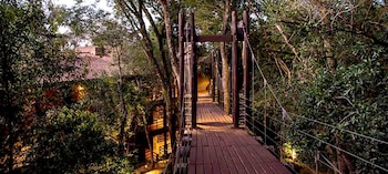 Se pueden recorrer varios senderos