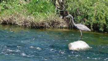 Los estados de la cuenca