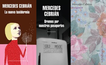 Tres libros de Mercedes Cebrián: “La nueva taxidermia”, “Oremos por nuestros pasaportes” y “Malgastar”