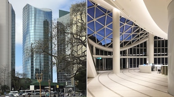 La forma de la planta,