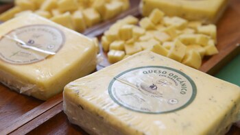 En 2017 se exportaron 176.300