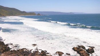 Desde el norte de la península antártica argentina y el sur de las islas de Tierra del Fuego y de los Estados existe uno de las zonas más ricas de biodiversidad marina en el mundo