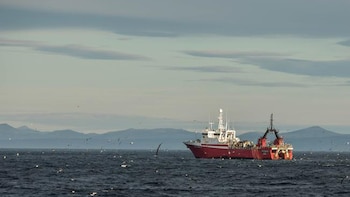 National Geographic, a través de su iniciativa de conservación marina Pristine Seas, realizó una inédita expedición a la zona argentina