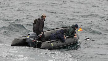 Los científicos realizaron un trabajo inédito en la zona