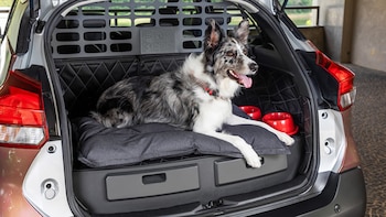 El nuevo diseño del vehículo