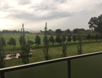 El verde predomina en el