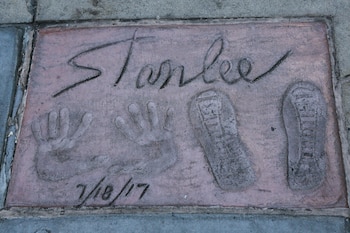 Gabriel Olsen/Getty Images/AFP