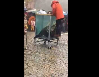 Tras unos segundos inmóvil, los