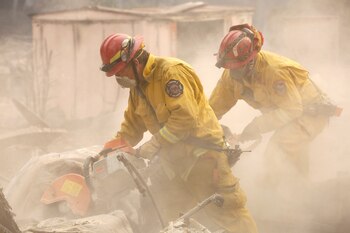 (REUTERS/Terray Sylvester)