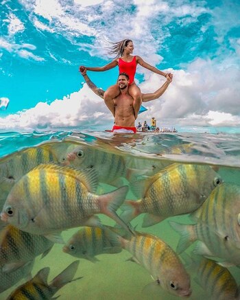 Situado en medio de bosques