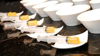 “nuestra filosofía es ofrecer un